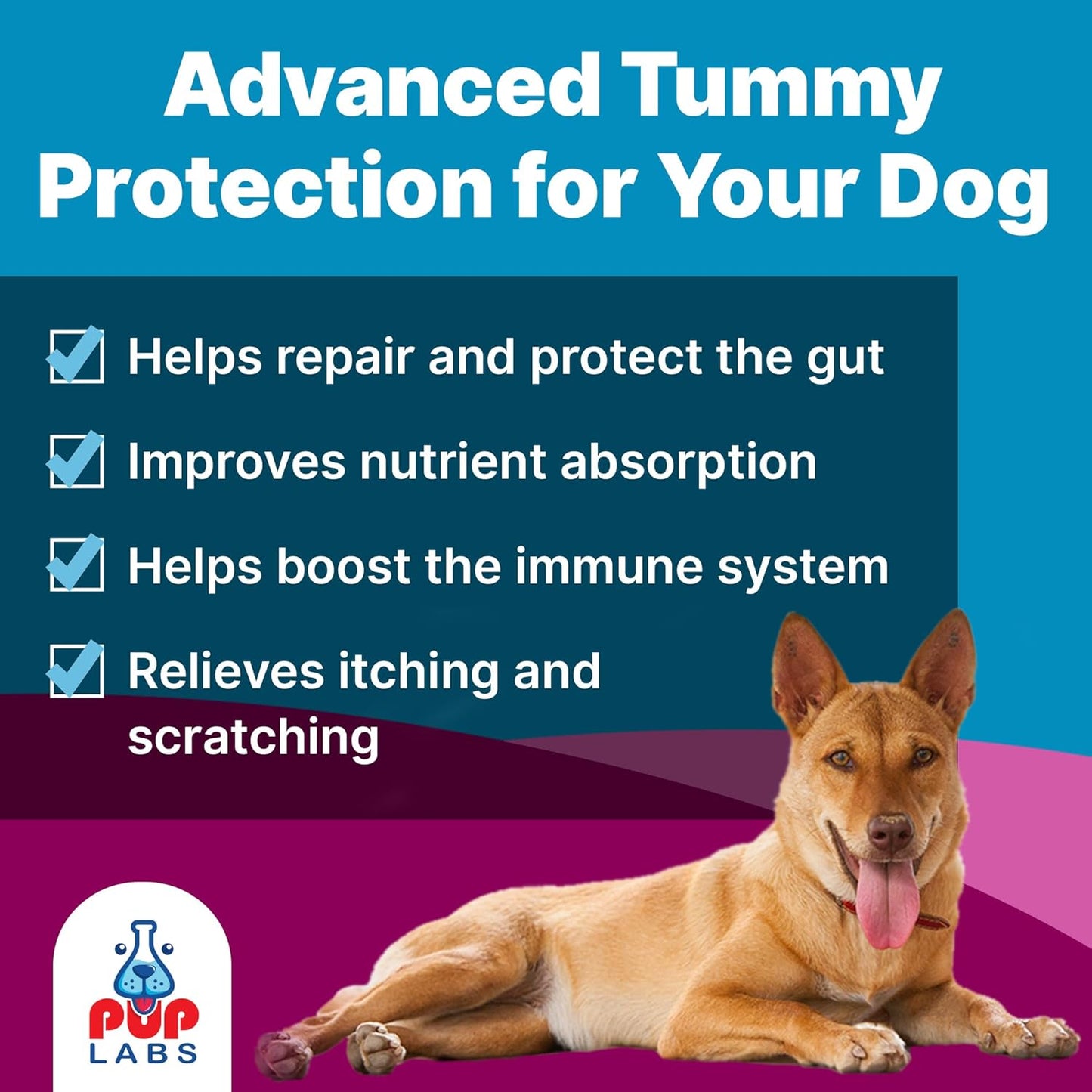 K9 Belly Bliss™ Gut Health Topper