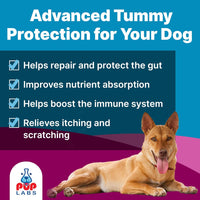 K9 Belly Bliss™ Gut Health Topper