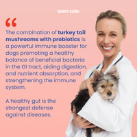 Turkey Tail+ Mushroom | Probiotics Formula For Puppies™